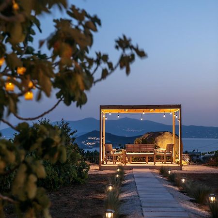 Jannas Apartments Naxos Agkidia المظهر الخارجي الصورة