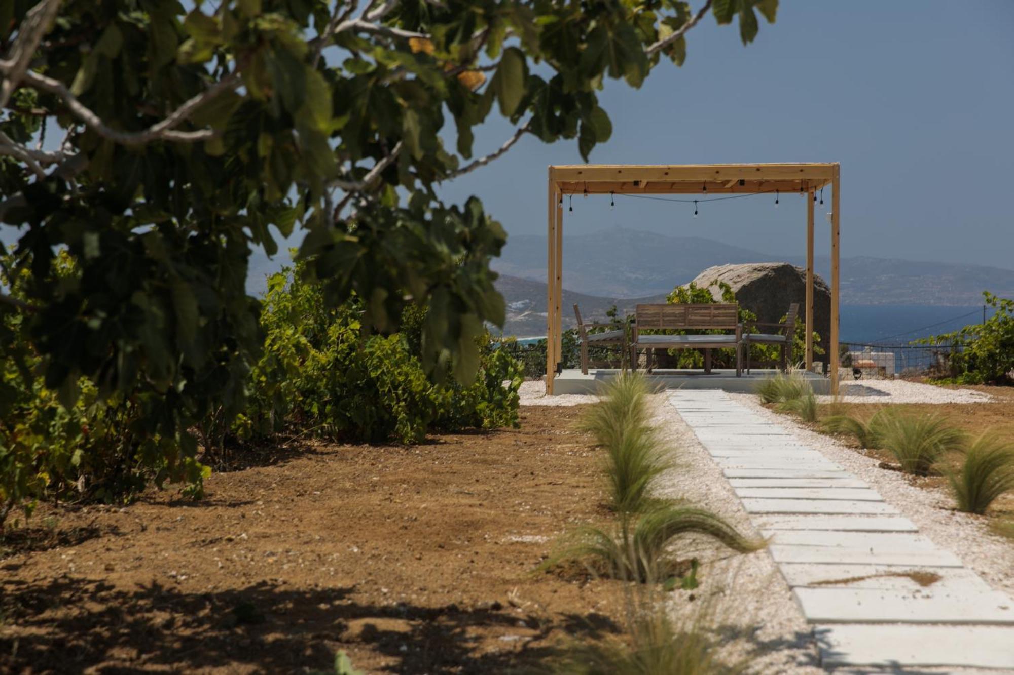Jannas Apartments Naxos Agkidia المظهر الخارجي الصورة
